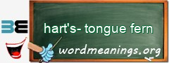 WordMeaning blackboard for hart's-tongue fern